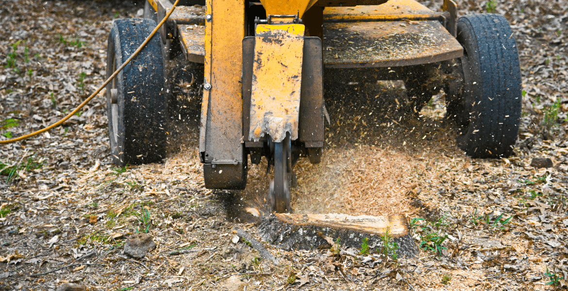 JC Tree & Gardening Services
